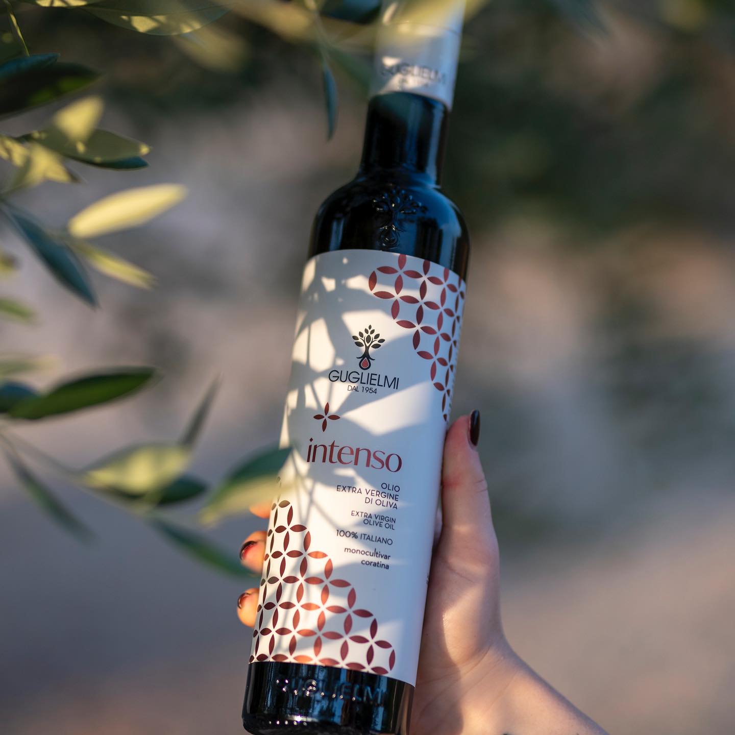 cong-dung-cua-dau-oliu-guglielmi