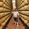 cheese wheel nguyên khối